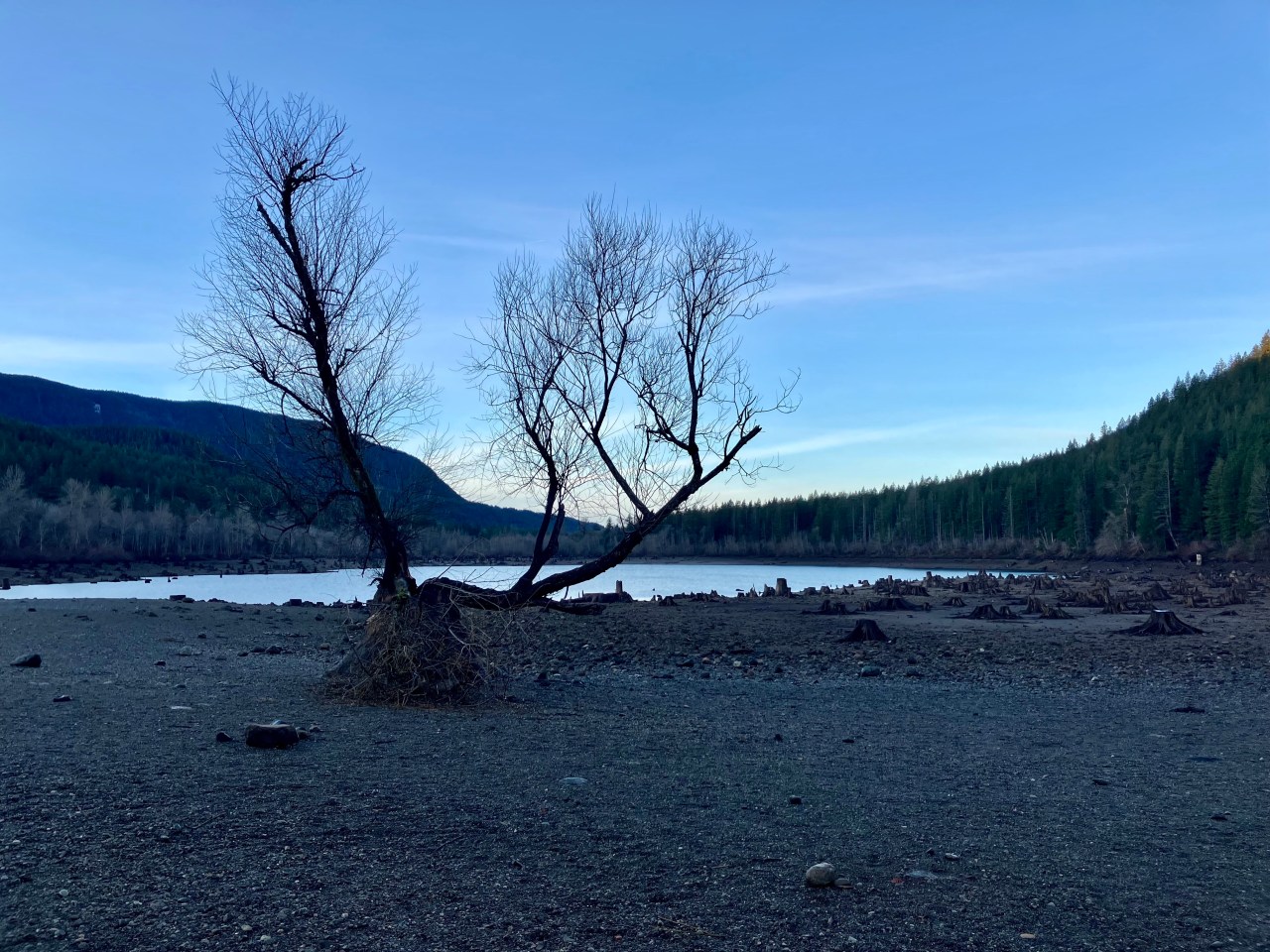 A lone, leafless tree backed by a small lake and mountains at dawn.