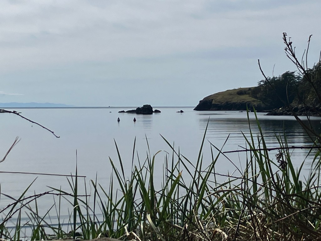 A view out over Bowman Bay at Deception Pass, through some shoreline grass at the water's edge. There is a large rocky outcrop in the water and in front of that, two barely discernable kayakers on the water.