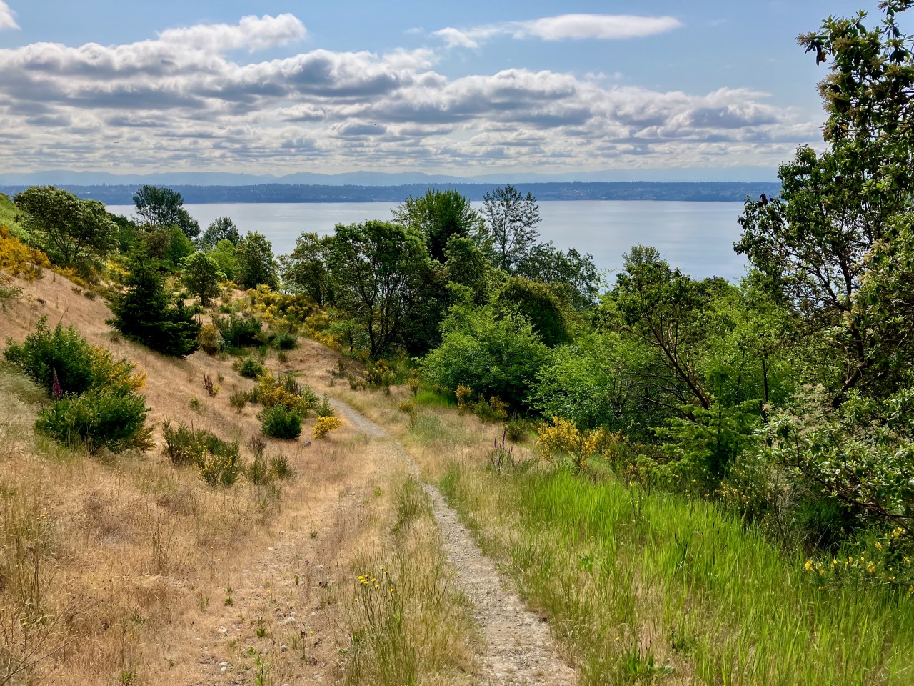 A gravel trail descending into trees, with the Salish Sea in the distance and foothills across the water.