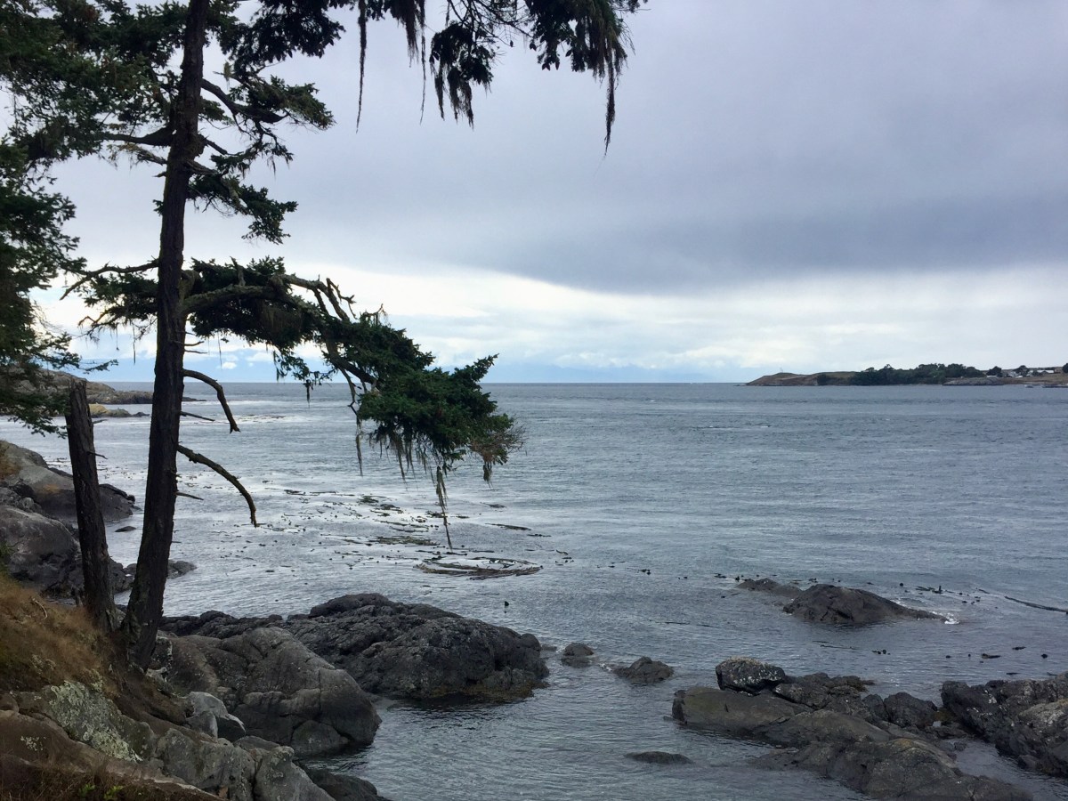 UPDATED – Free Foot Ferry to the San Juan&nbsp;Islands