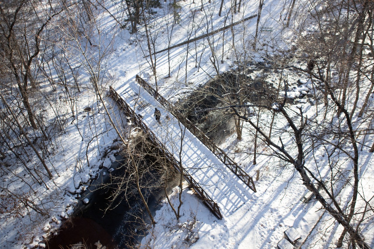 A snowy bridge over a creek in a snowy deciduous winter forest. POV is from overhead and a person and two small dogs cross the bridge.
